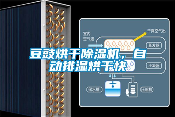 豆豉烘干除湿机，自动排湿烘干快