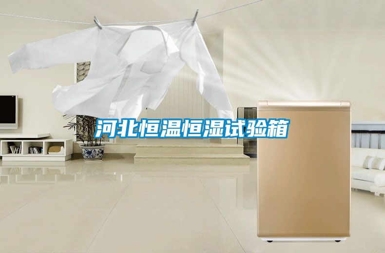 河北恒温恒湿试验箱