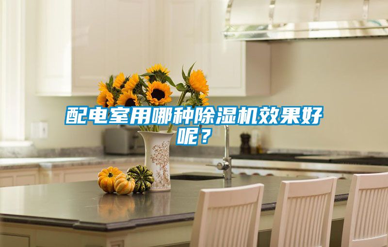 配电室用哪种除湿机效果好呢？