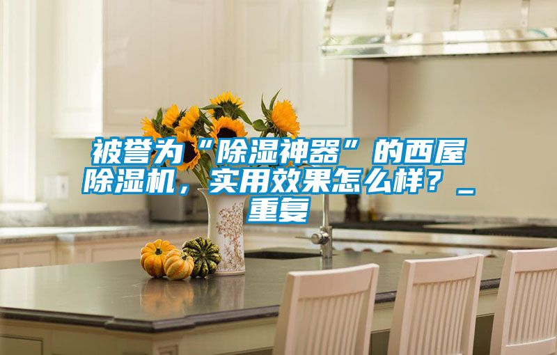 被誉为“除湿神器”的西屋除湿机，实用效果怎么样？_重复