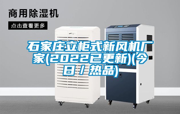 石家庄立柜式新风机厂家(2022已更新)(今日/热品)