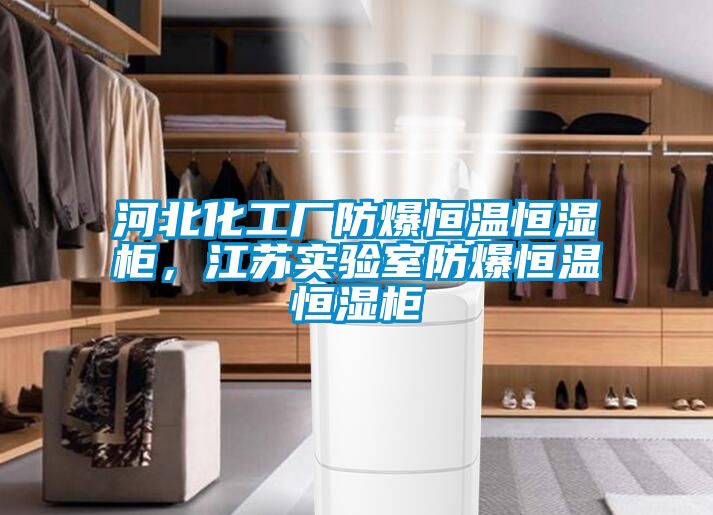 河北化工厂防爆恒温恒湿柜，江苏实验室防爆恒温恒湿柜