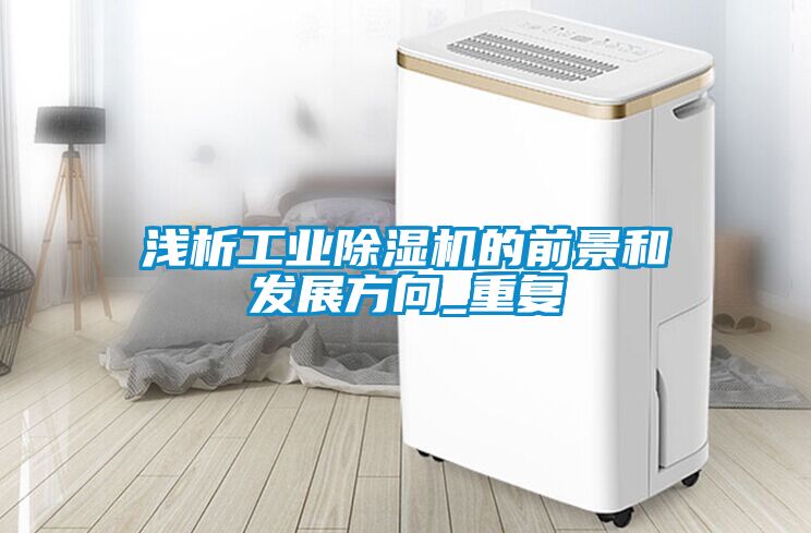 浅析工业除湿机的前景和发展方向_重复