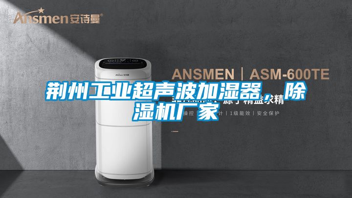 荆州工业超声波加湿器,除湿机厂家
