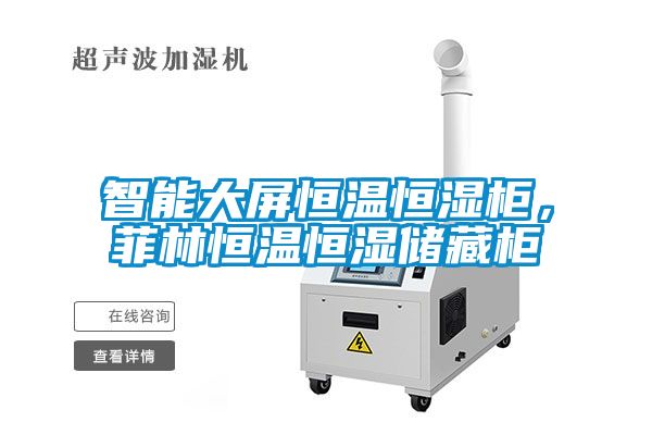 智能大屏恒温恒湿柜，菲林恒温恒湿储藏柜