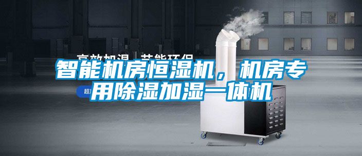 智能机房恒湿机，机房专用除湿加湿一体机