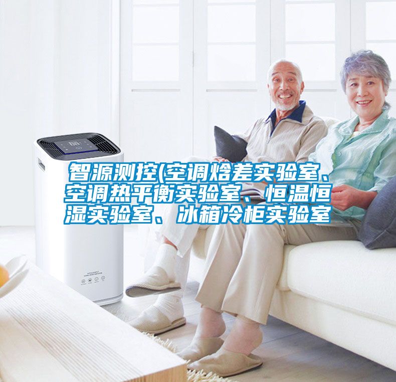 智源测控(空调焓差实验室、空调热平衡实验室、恒温恒湿实验室、冰箱冷柜实验室