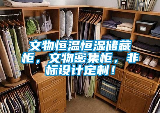 文物恒温恒湿储藏柜，文物密集柜，非标设计定制！