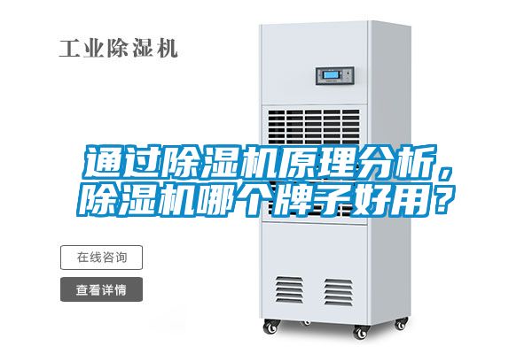 通过除湿机原理分析，除湿机哪个牌子好用？