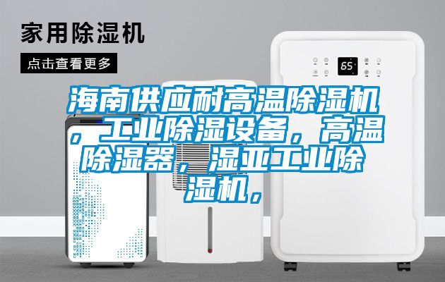 海南供应耐高温除湿机，工业除湿设备，高温除湿器，湿亚工业除湿机，