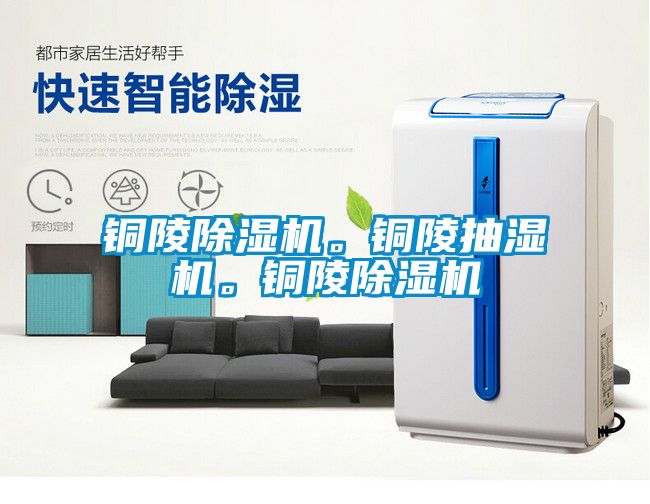 铜陵除湿机。铜陵抽湿机。铜陵除湿机