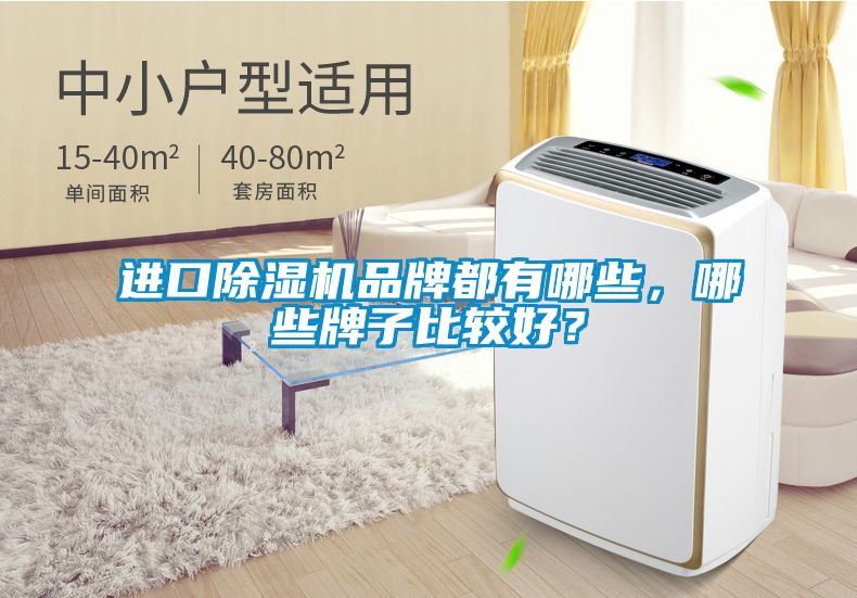 进口除湿机品牌都有哪些，哪些牌子比较好？