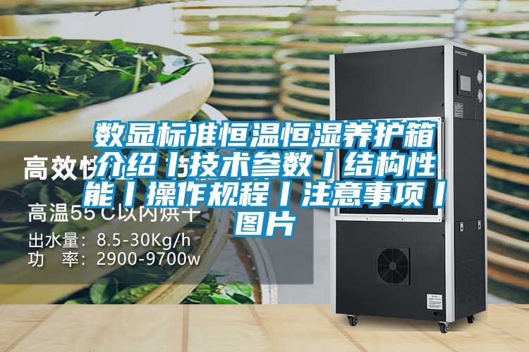 数显标准恒温恒湿养护箱介绍丨技术参数丨结构性能丨操作规程丨注意事项丨图片