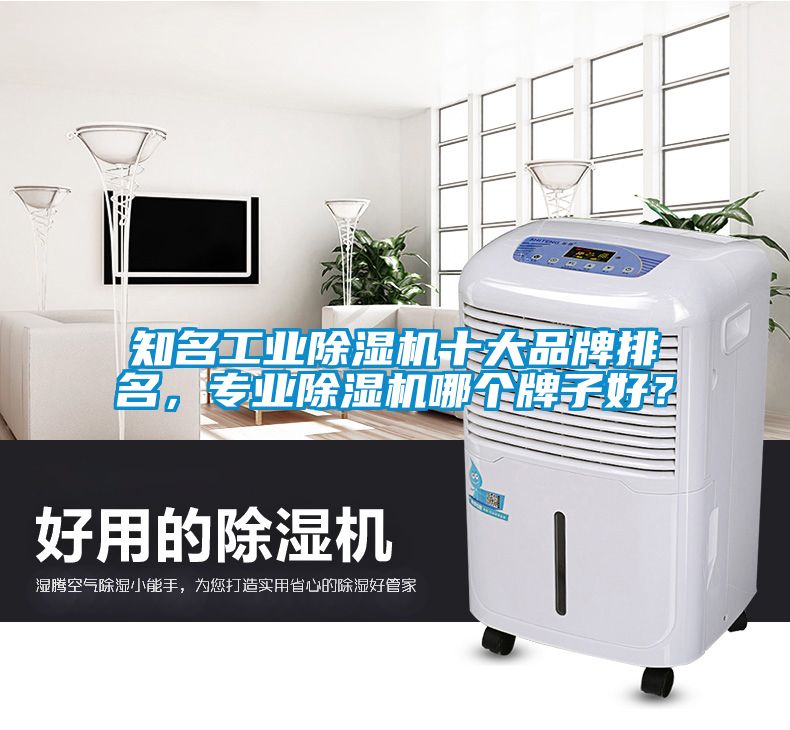 知名工业除湿机十大品牌排名，专业除湿机哪个牌子好？