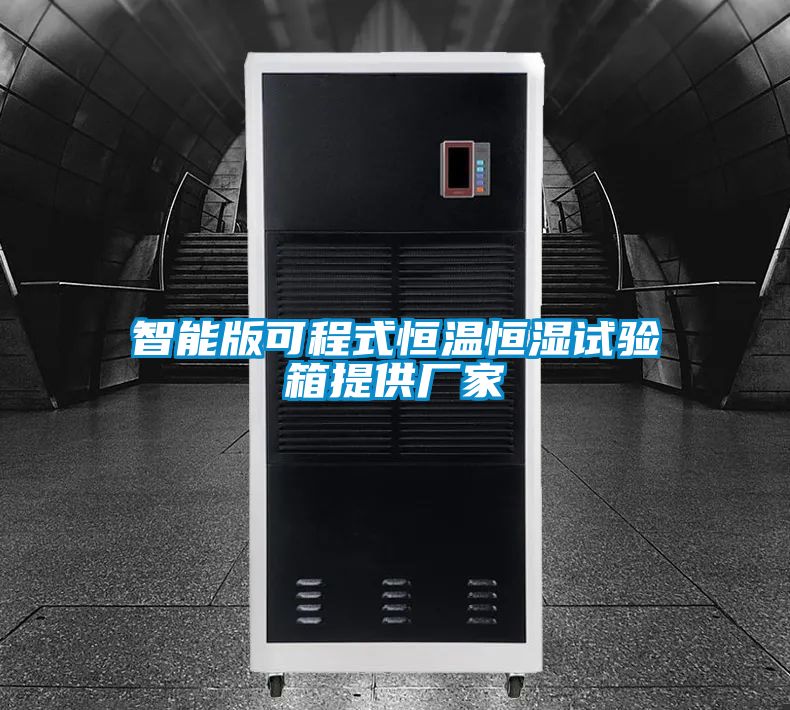 智能版可程式恒温恒湿试验箱提供厂家