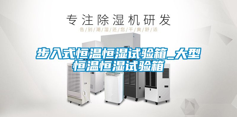 步入式恒温恒湿试验箱_大型恒温恒湿试验箱