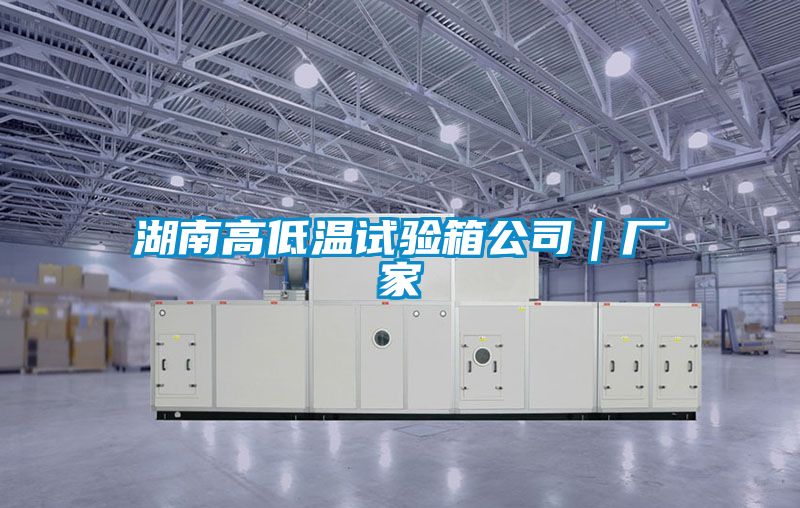 湖南高低温试验箱公司|厂家