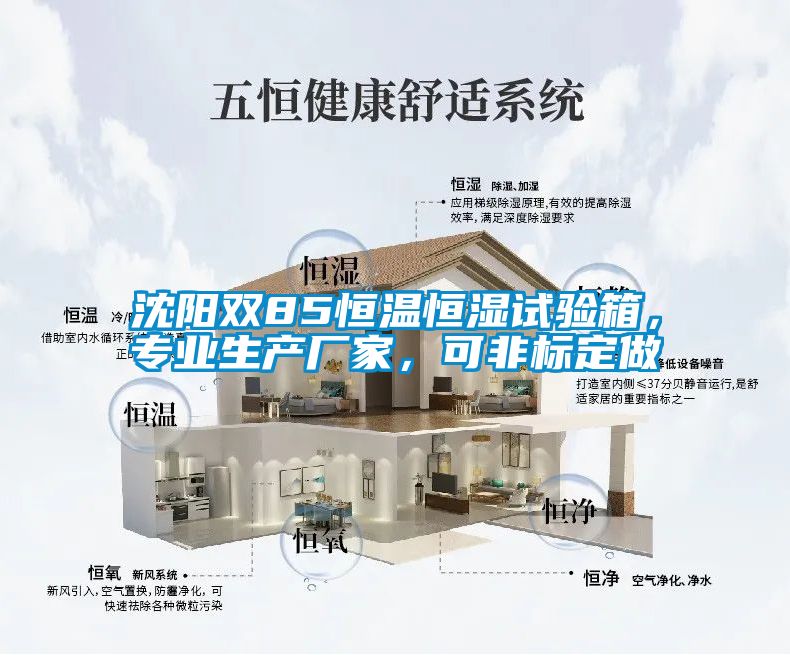 沈阳双85恒温恒湿试验箱，专业生产厂家，可非标定做
