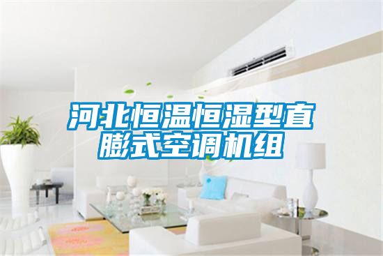 河北恒温恒湿型直膨式空调机组