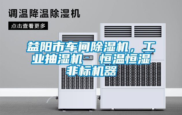 益阳市车间除湿机，工业抽湿机  恒温恒湿非标机器