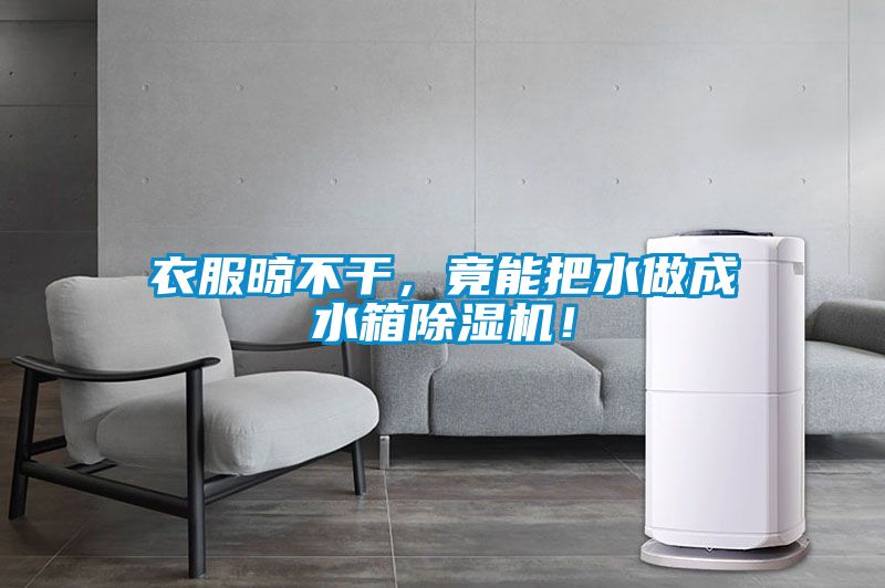 衣服晾不干，竟能把水做成水箱除湿机！