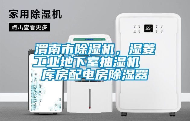 渭南市除湿机，湿菱工业地下室抽湿机  库房配电房除湿器