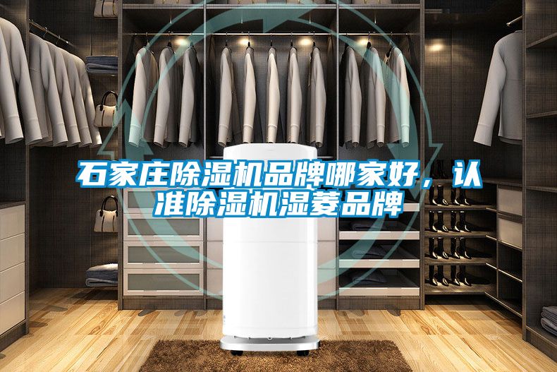 石家庄除湿机品牌哪家好,认准除湿机湿菱品牌