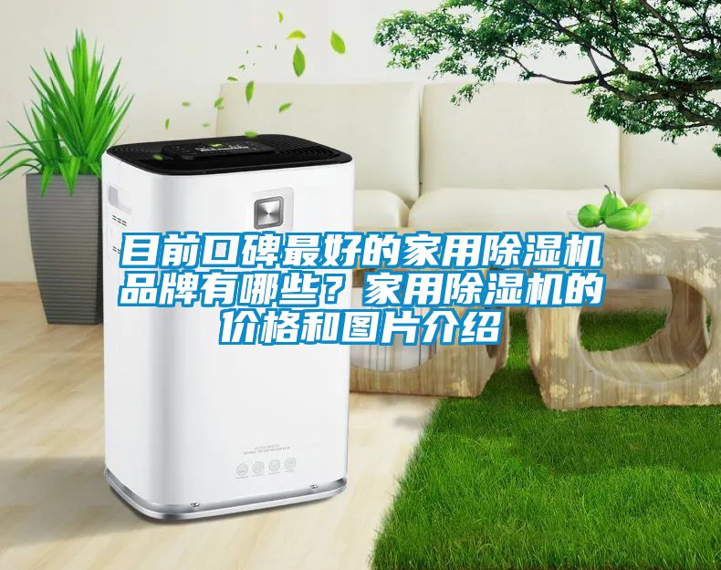 目前口碑最好的家用除湿机品牌有哪些？家用除湿机的价格和图片介绍