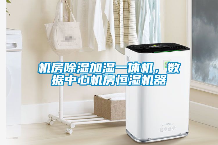 机房除湿加湿一体机，数据中心机房恒湿机器