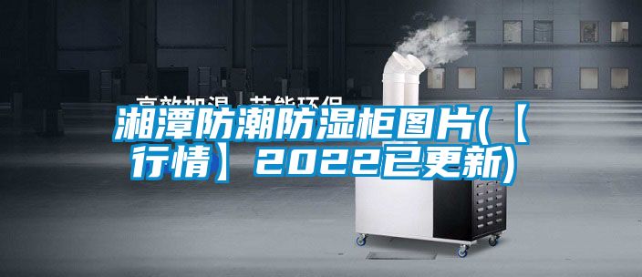 湘潭防潮防湿柜图片(【行情】2022已更新)