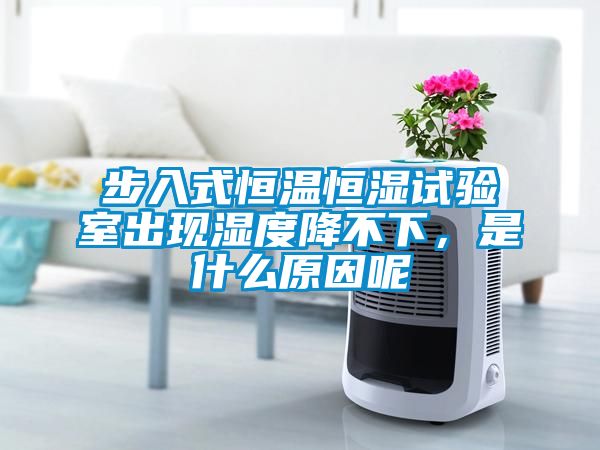 步入式恒温恒湿试验室出现湿度降不下，是什么原因呢