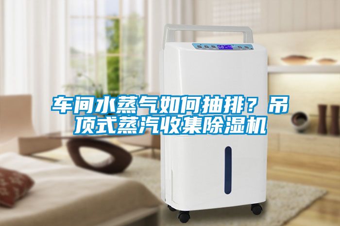 车间水蒸气如何抽排？吊顶式蒸汽收集除湿机