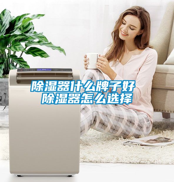 除湿器什么牌子好 除湿器怎么选择