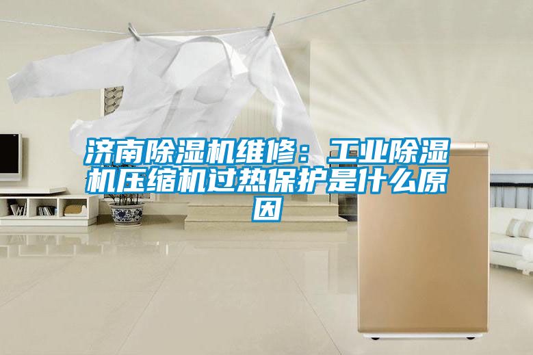 济南除湿机维修：工业除湿机压缩机过热?；な鞘裁丛?/></p>
						    <p style=
