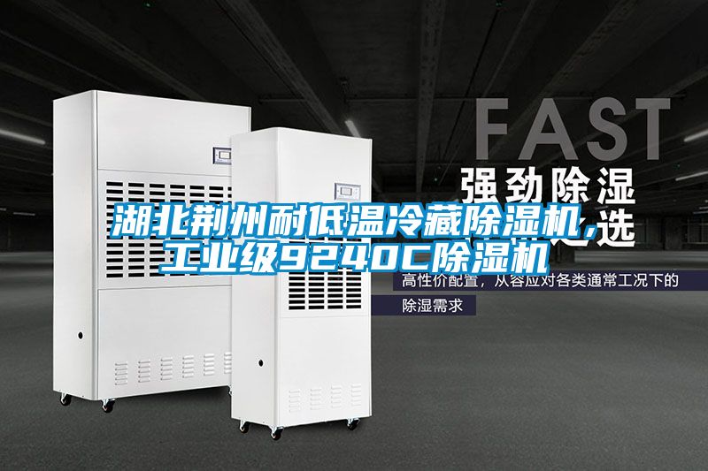 湖北荆州耐低温冷藏除湿机，工业级9240C除湿机