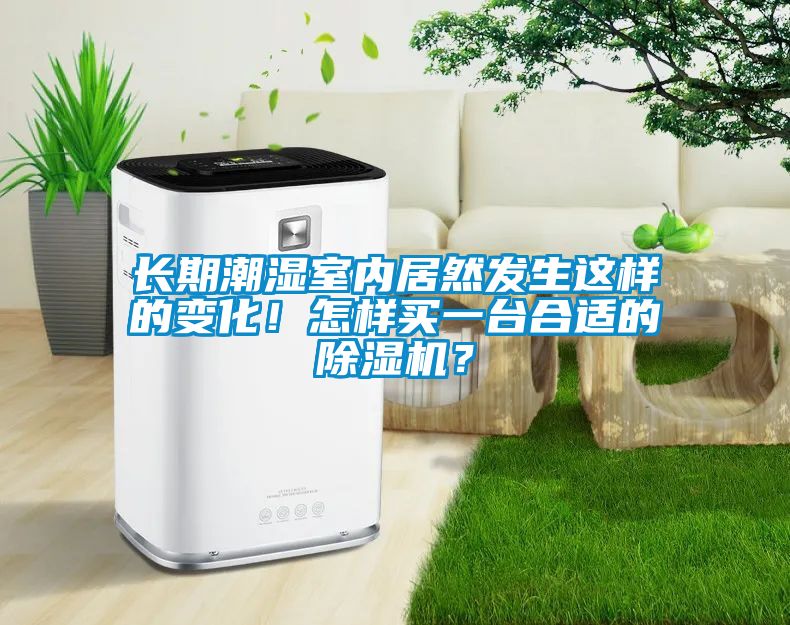 长期潮湿室内居然发生这样的变化！怎样买一台合适的除湿机？