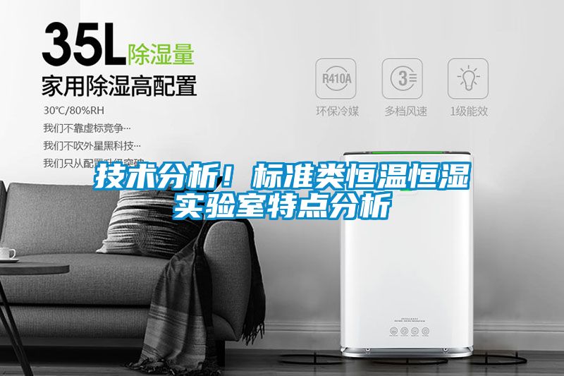 技术分析！标准类恒温恒湿实验室特点分析