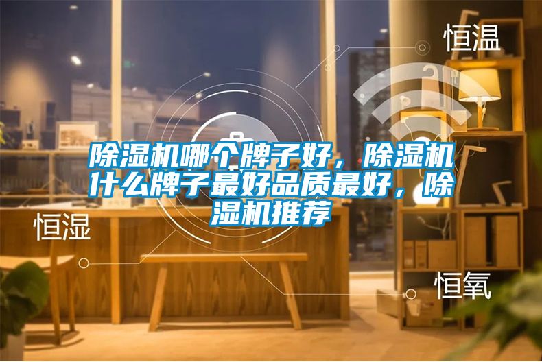 除湿机哪个牌子好，除湿机什么牌子最好品质最好，除湿机推荐