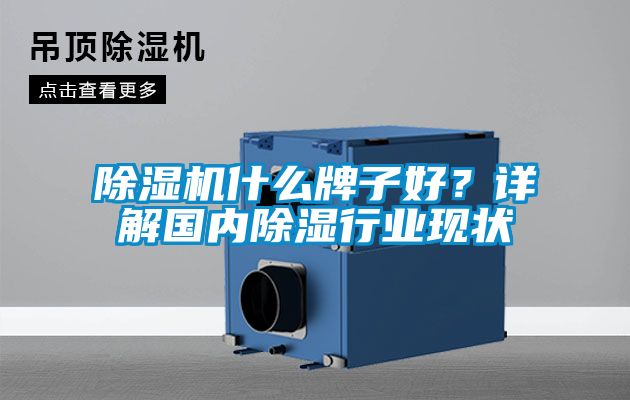除湿机什么牌子好？详解国内除湿行业现状