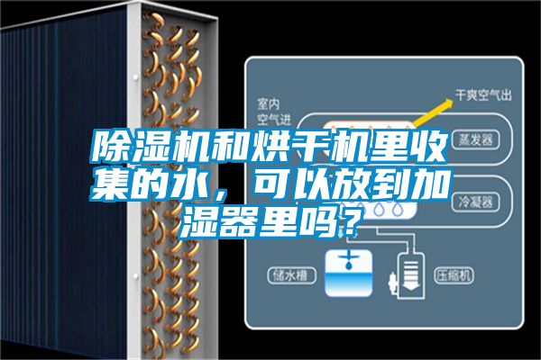 除湿机和烘干机里收集的水，可以放到加湿器里吗？