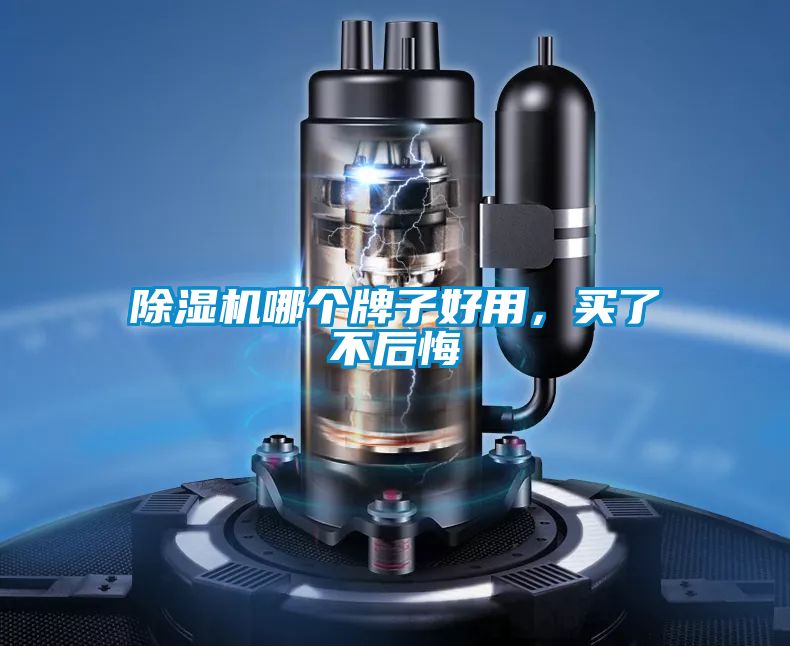 除湿机哪个牌子好用，买了不后悔