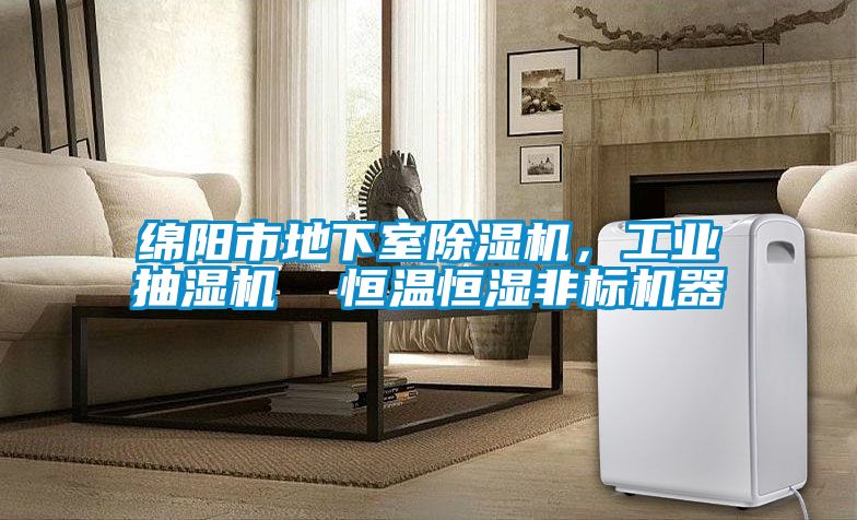绵阳市地下室除湿机，工业抽湿机  恒温恒湿非标机器