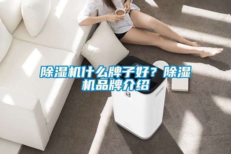 除湿机什么牌子好？除湿机品牌介绍
