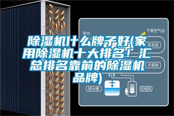 除湿机什么牌子好(家用除湿机十大排名！汇总排名靠前的除湿机品牌)