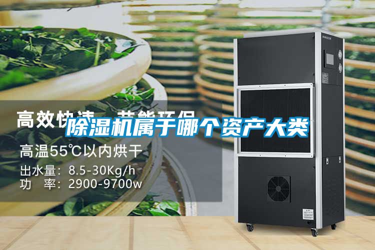 除湿机属于哪个资产大类