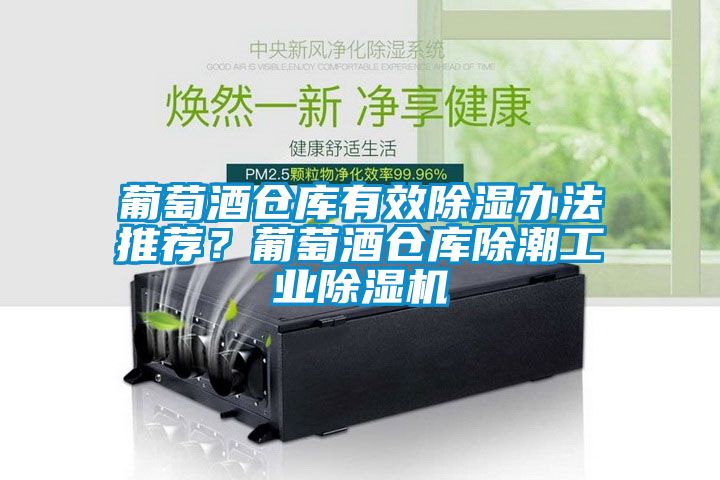 葡萄酒仓库有效除湿办法推荐？葡萄酒仓库除潮工业除湿机