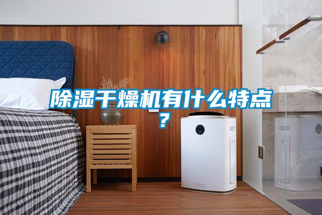 除湿干燥机有什么特点？