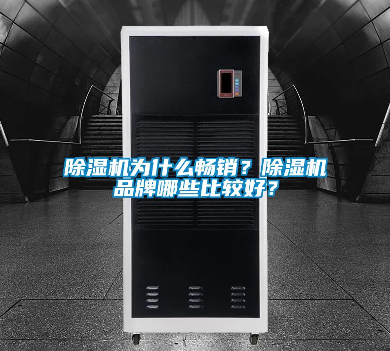 除湿机为什么畅销？除湿机品牌哪些比较好？