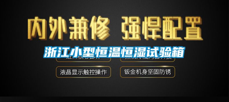 浙江小型恒温恒湿试验箱