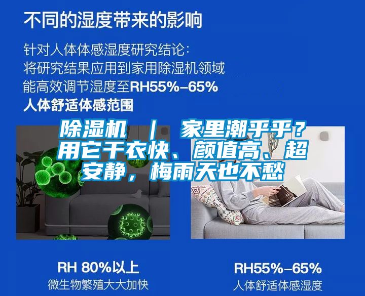 除湿机 ｜ 家里潮乎乎？用它干衣快、颜值高、超安静，梅雨天也不愁